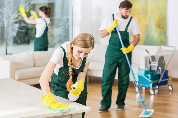 Cleaning project
